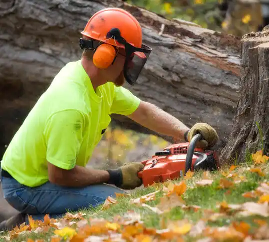 tree services Pasadena